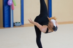 DSC_0436