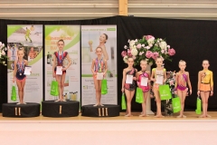 2008A